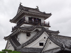 Het kasteel in Kochi