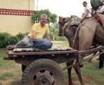 kamelenkar India